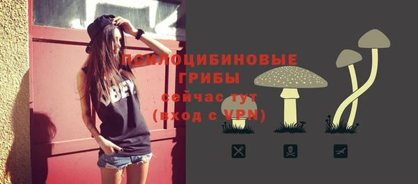 герыч Алексин